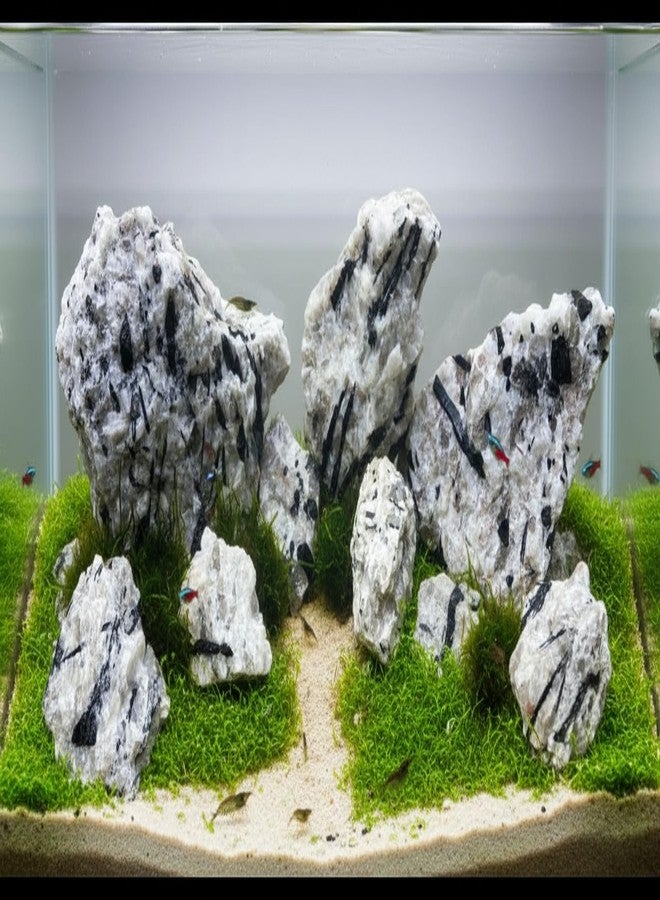 RUKDA® Natural Black Tourmaline in Quartz Decorative Rock - Rare Natural Stone for Aquarium, Terrarium, Turtle Tank & Home Decor (0.9Kg) - Image 1